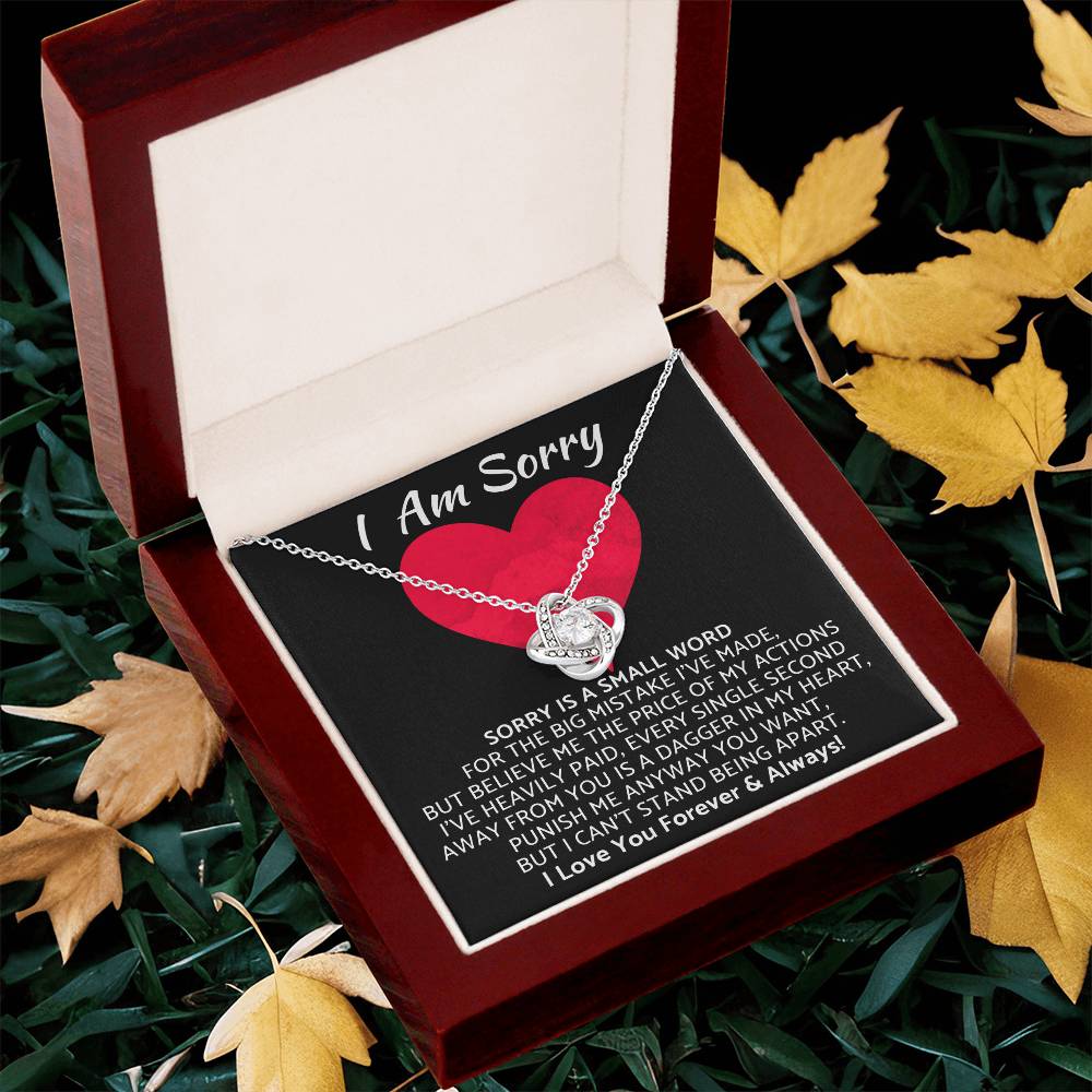 Premium I Am Sorry Gift for Your Love Knot Necklace
