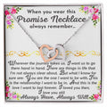 The Promise Necklace Interlocking Hearts Necklace